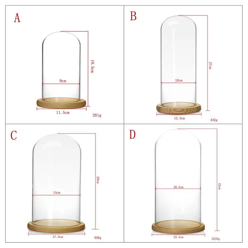 Jewelry Prop Window Display Rack Decoration Transparent Dust-proof plastic Cover Solid Wood Base Jewelry Shop Dedicated