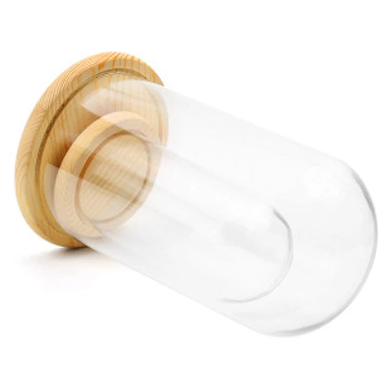 Jewelry Prop Window Display Rack Decoration Transparent Dust-proof plastic Cover Solid Wood Base Jewelry Shop Dedicated