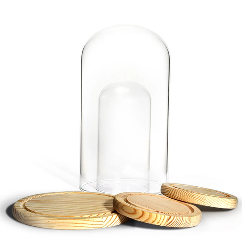 Jewelry Prop Window Display Rack Decoration Transparent Dust-proof plastic Cover Solid Wood Base Jewelry Shop Dedicated